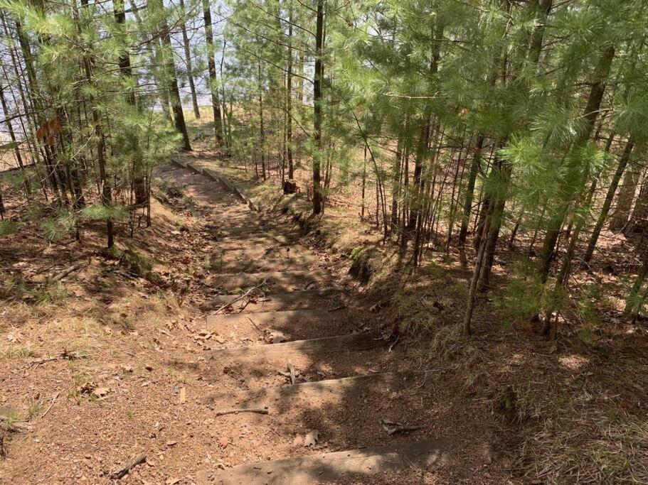 Saint Germain Black Bear Lodge-Bear Trap #3 מראה חיצוני תמונה